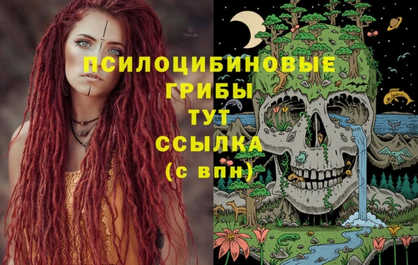 сатива Белоозёрский