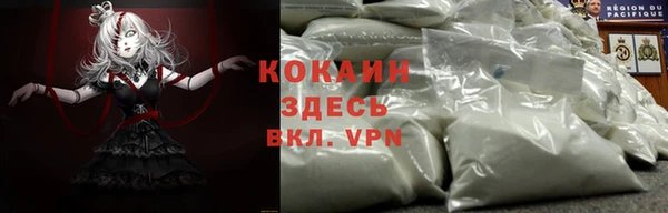 сатива Белоозёрский