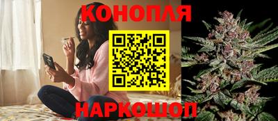 винт Михайловка