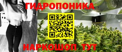 винт Михайловка