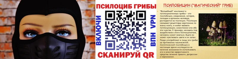 Галлюциногенные грибы Psilocybine cubensis  Сланцы 