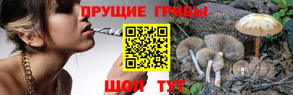 Псилоцибиновые грибы ЛСД Сланцы