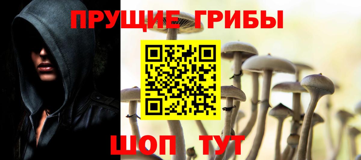 Галлюциногенные грибы ЛСД  Вход с VPN  Галлюциногенные грибы Psilocybine cubensis  Сланцы 