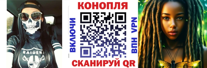 Шишки марихуана Amnesia  Сланцы 